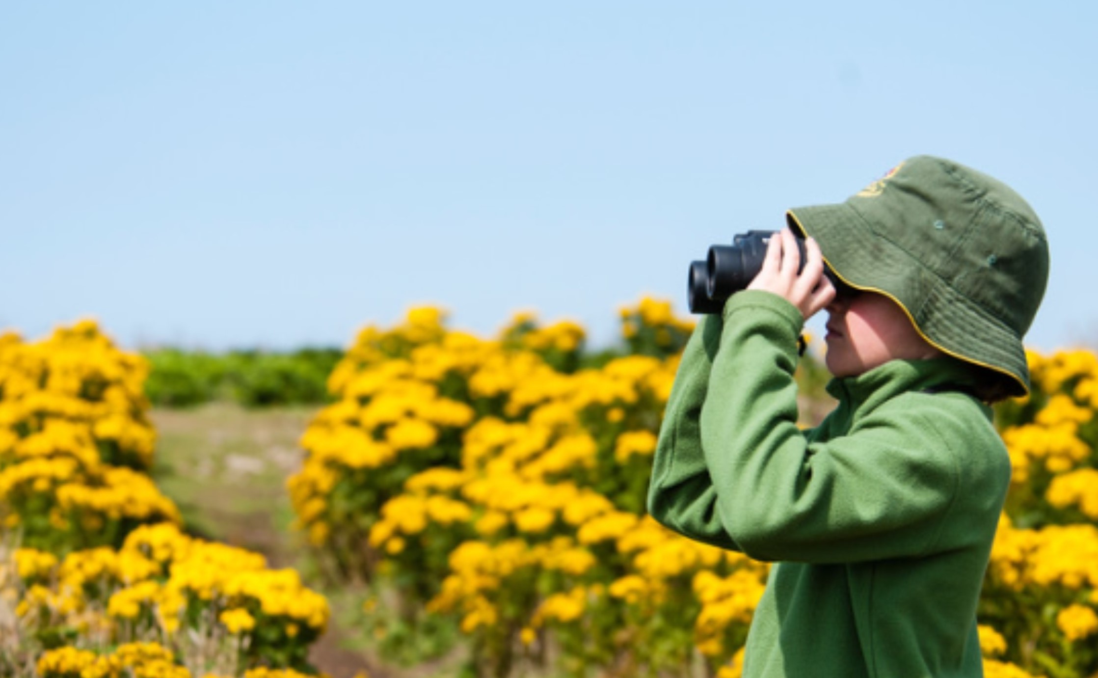 Avistando aves en Mar Chiquita